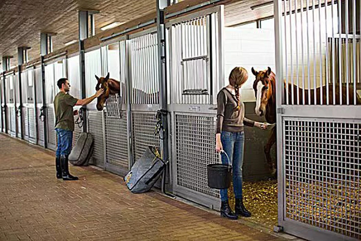 China Portable facility horse stalls